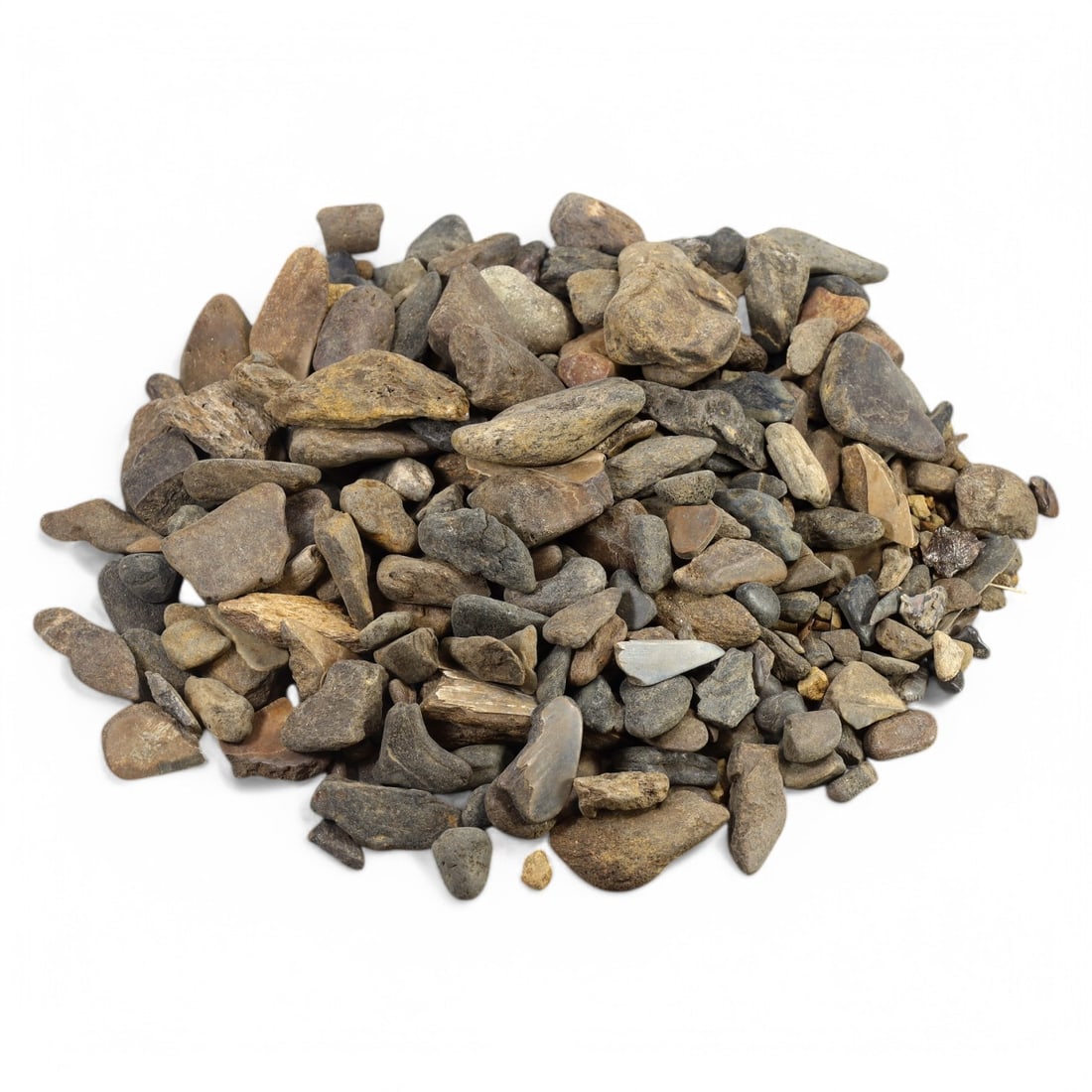 SHARK & MEGALODON TEETH: Lot of Fossilized Teeth, Various Sizes (1.3kg, 2-5cm): This impressive lot features a collection of fossilized shark and megalodon teeth, varying in size, shape, and coloration. The teeth exhibit a range of natural hues from deep gray to earthy brown, wit