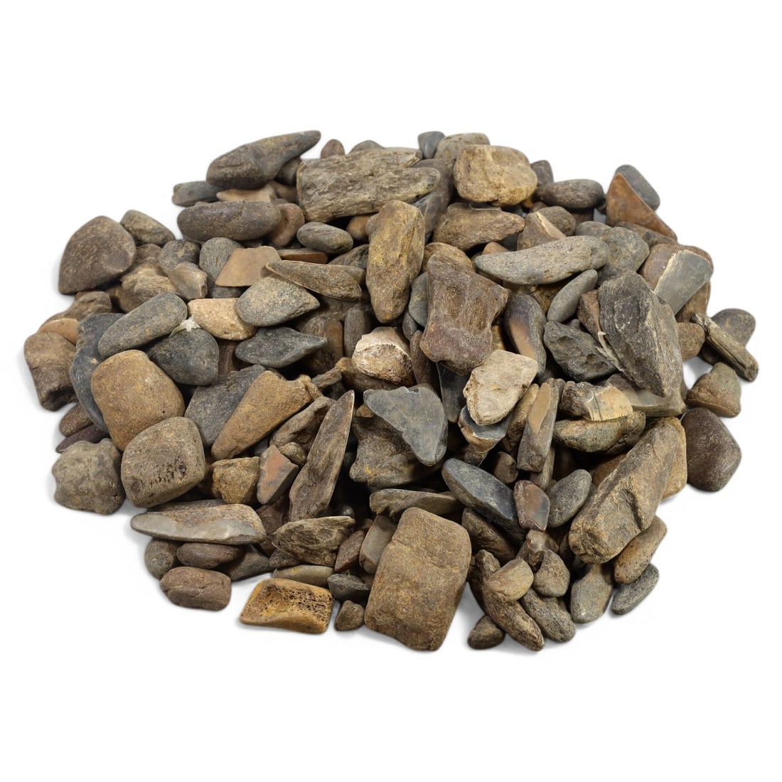 SHARK & MEGALODON TEETH: Lot of Fossilized Teeth, Various Sizes (1.3kg, 2-6cm): This impressive lot features a collection of fossilized shark and megalodon teeth, varying in size, shape, and coloration. The teeth exhibit a range of natural hues from deep gray to earthy brown, wit