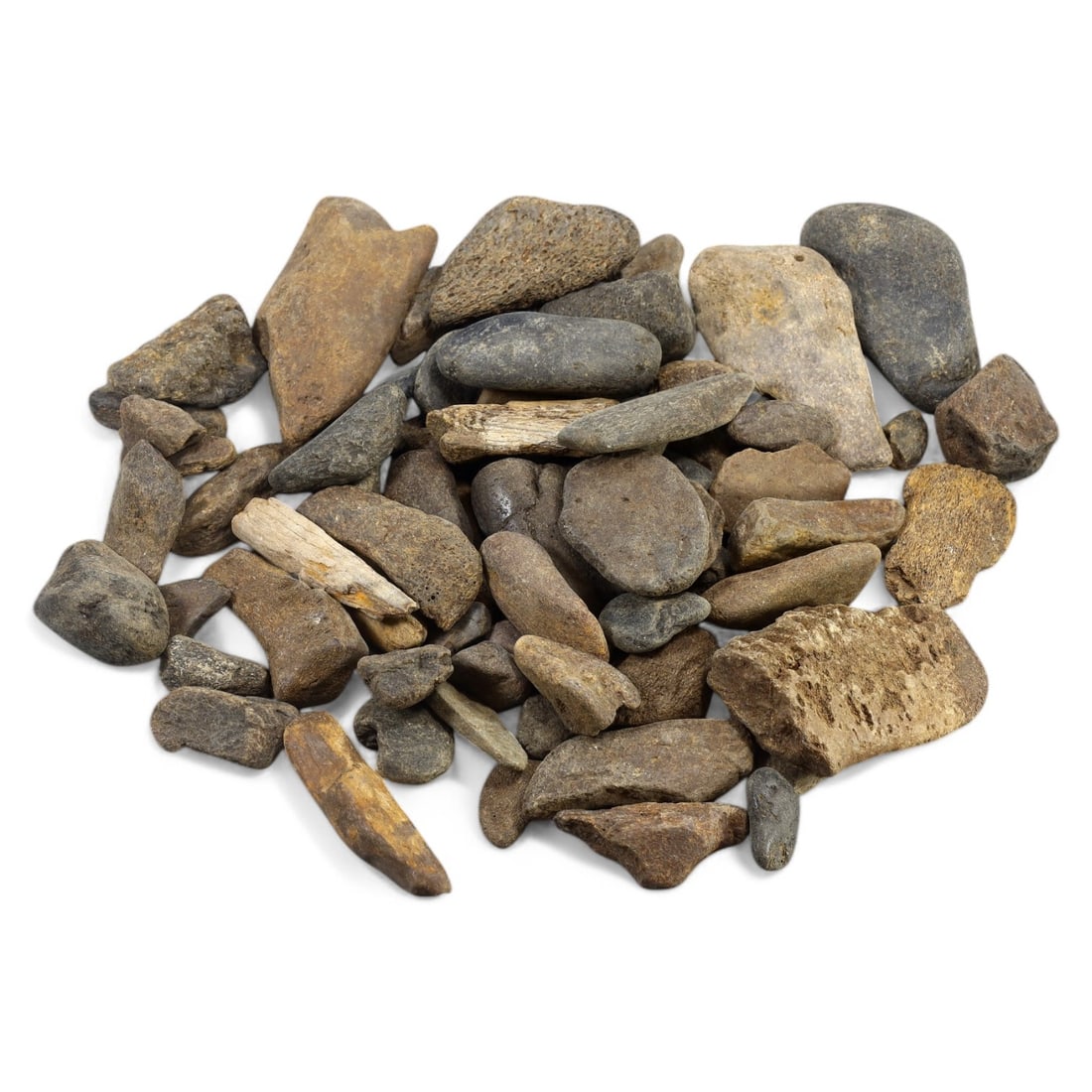 SHARK & MEGALODON TEETH: Lot of Fossilized Teeth, Various Sizes (1kg, 2-8cm): This impressive lot features a collection of fossilized shark and megalodon teeth, varying in size, shape, and coloration. The teeth exhibit a range of natural hues from deep gray to earthy brown, wit