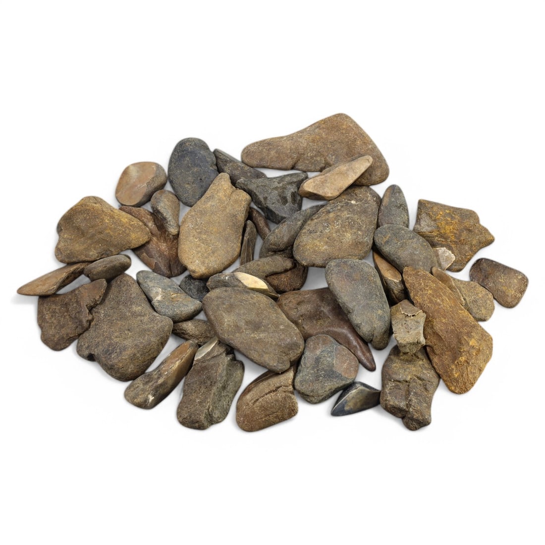 SHARK & MEGALODON TEETH: Lot of Fossilized Teeth, Various Sizes (1kg, 4-8cm): This impressive lot features a collection of fossilized shark and megalodon teeth, varying in size, shape, and coloration. The teeth exhibit a range of natural hues from deep gray to earthy brown, wit