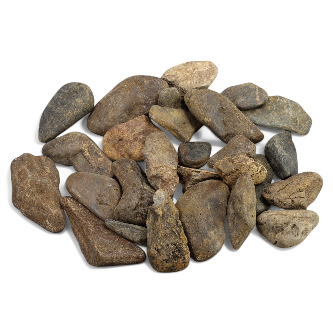 SHARK & MEGALODON TEETH: Lot of Fossilized Teeth, Various Sizes (1kg, 3-7cm): This impressive lot features a collection of fossilized shark and megalodon teeth, varying in size, shape, and coloration. The teeth exhibit a range of natural hues from deep gray to earthy brown, wit