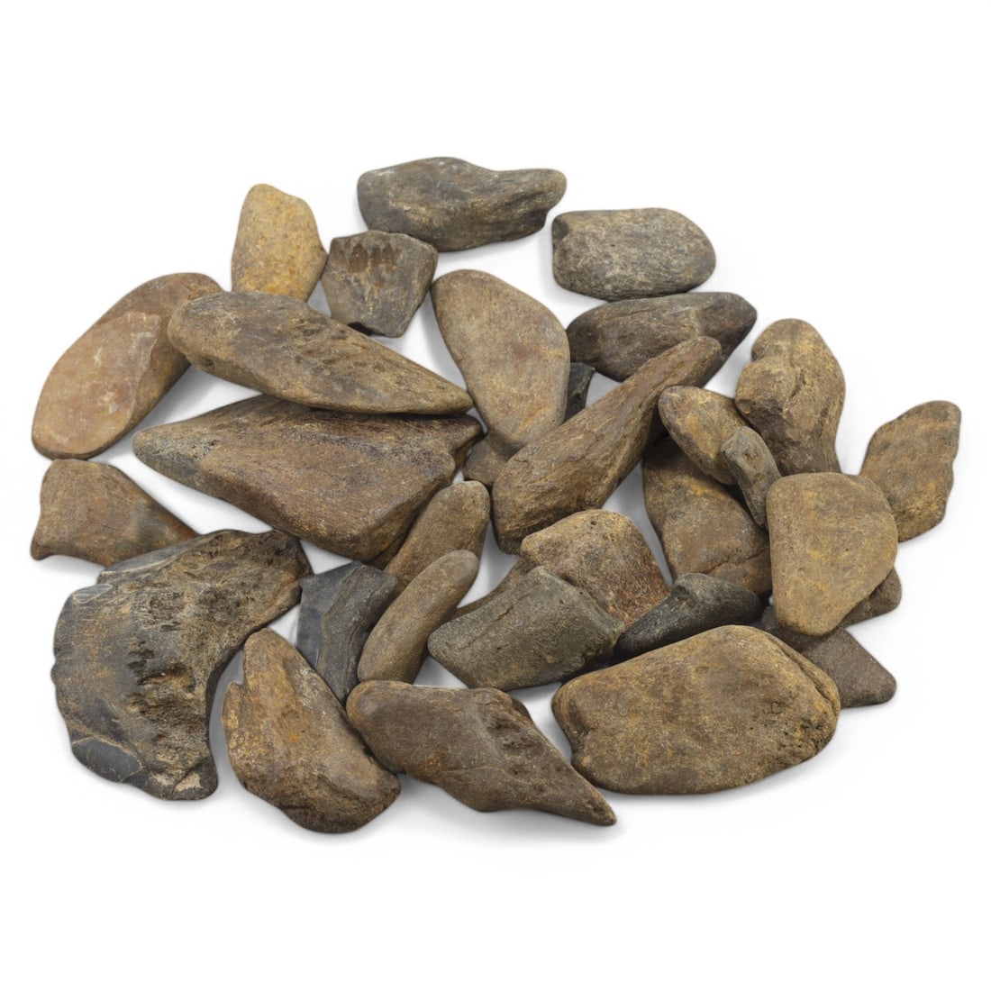 SHARK & MEGALODON TEETH: Lot of Fossilized Teeth, Various Sizes (1kg, 2-7cm): This impressive lot features a collection of fossilized shark and megalodon teeth, varying in size, shape, and coloration. The teeth exhibit a range of natural hues from deep gray to earthy brown, wit