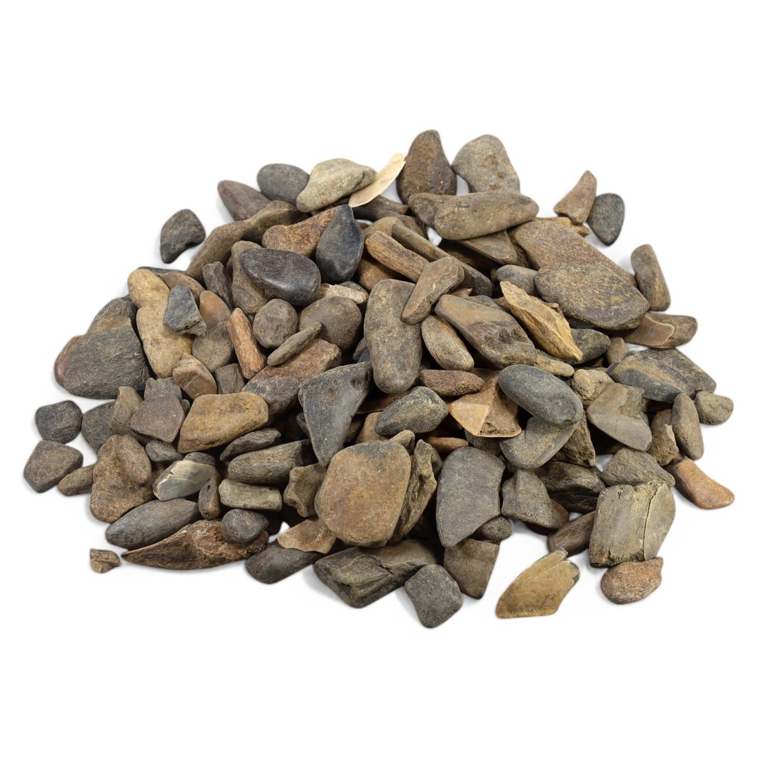 SHARK & MEGALODON TEETH: Lot of Fossilized Teeth, Various Sizes (1.3kg, 2-5cm): This impressive lot features a collection of fossilized shark and megalodon teeth, varying in size, shape, and coloration. The teeth exhibit a range of natural hues from deep gray to earthy brown, wit