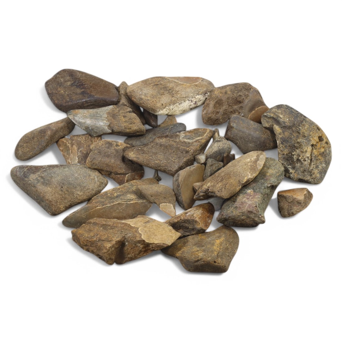 SHARK & MEGALODON TEETH: Lot of Fossilized Teeth, Various Sizes (1kg, 3-8cm): This impressive lot features a collection of fossilized shark and megalodon teeth, varying in size, shape, and coloration. The teeth exhibit a range of natural hues from deep gray to earthy brown, wit