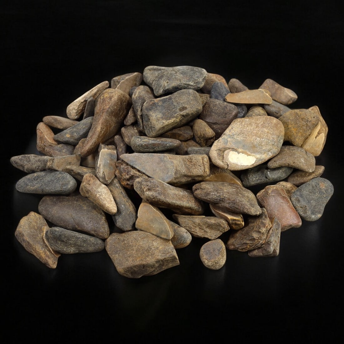 SHARK & MEGALODON TEETH: Lot of Fossilized Teeth, Various Sizes (1kg, 2-7cm): This impressive lot features a collection of fossilized shark and megalodon teeth, varying in size, shape, and coloration. The teeth exhibit a range of natural hues from deep gray to earthy brown, wit