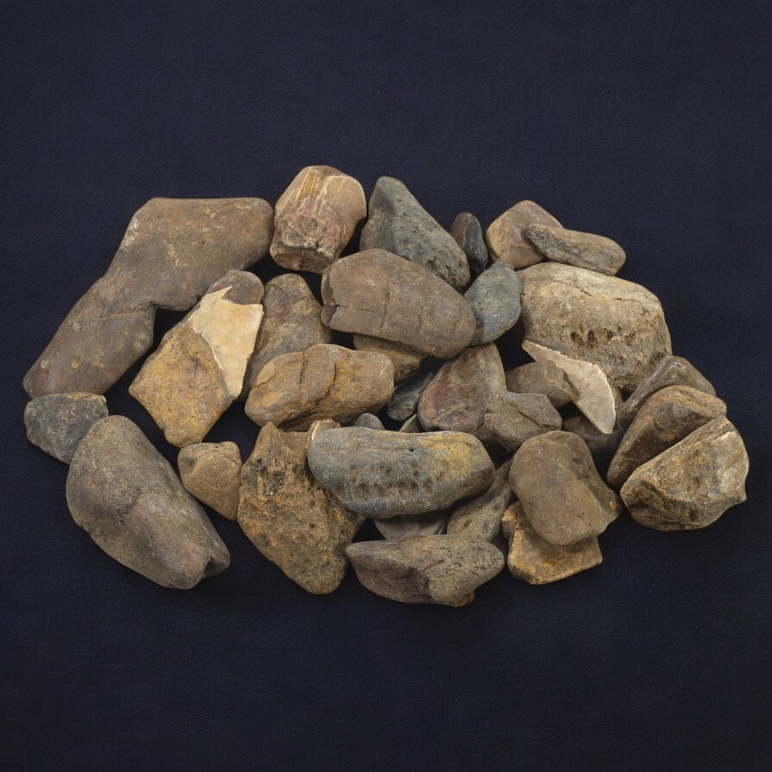 SHARK & MEGALODON TEETH: Lot of Fossilized Teeth, Various Sizes (1kg, 2-11cm): This impressive lot features a collection of fossilized shark and megalodon teeth, varying in size, shape, and coloration. The teeth exhibit a range of natural hues from deep gray to earthy brown, wit