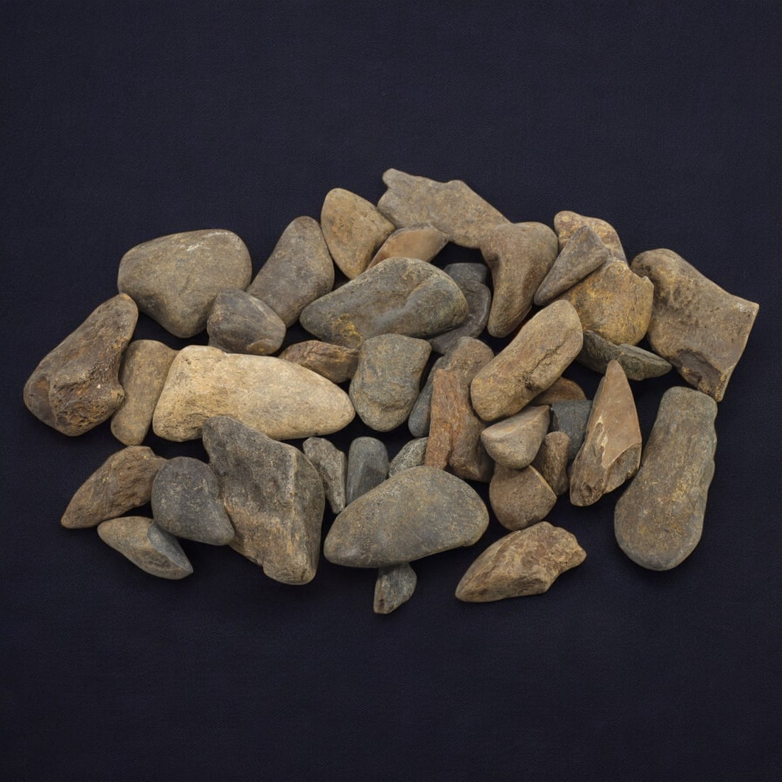 SHARK & MEGALODON TEETH: Lot of Fossilized Teeth, Various Sizes (1kg, 3-7cm): This impressive lot features a collection of fossilized shark and megalodon teeth, varying in size, shape, and coloration. The teeth exhibit a range of natural hues from deep gray to earthy brown, wit