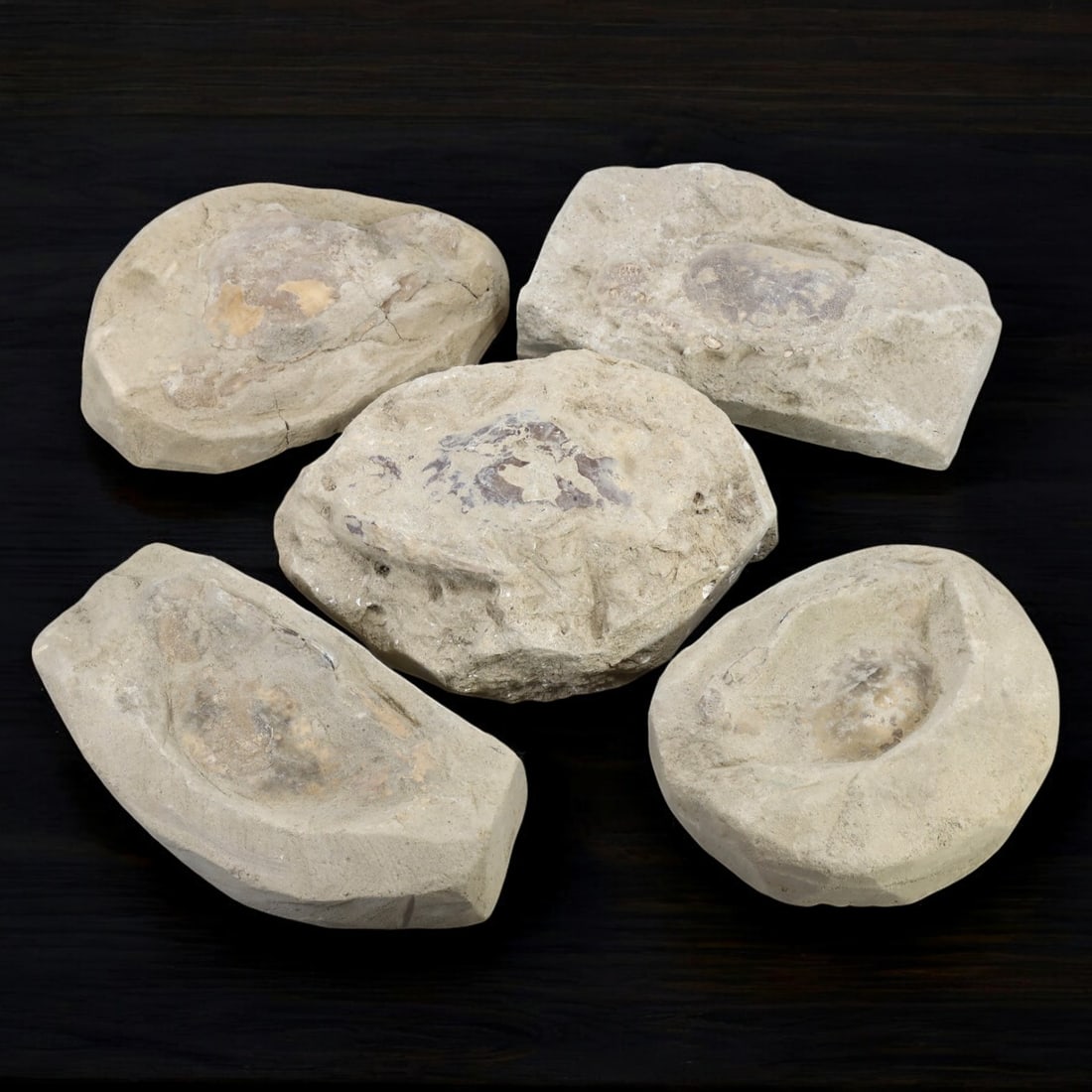 CRAB FOSSIL LOT: Fossilized Crabs in Matrix (10-14cm, 1.8kg) (1 of 1)