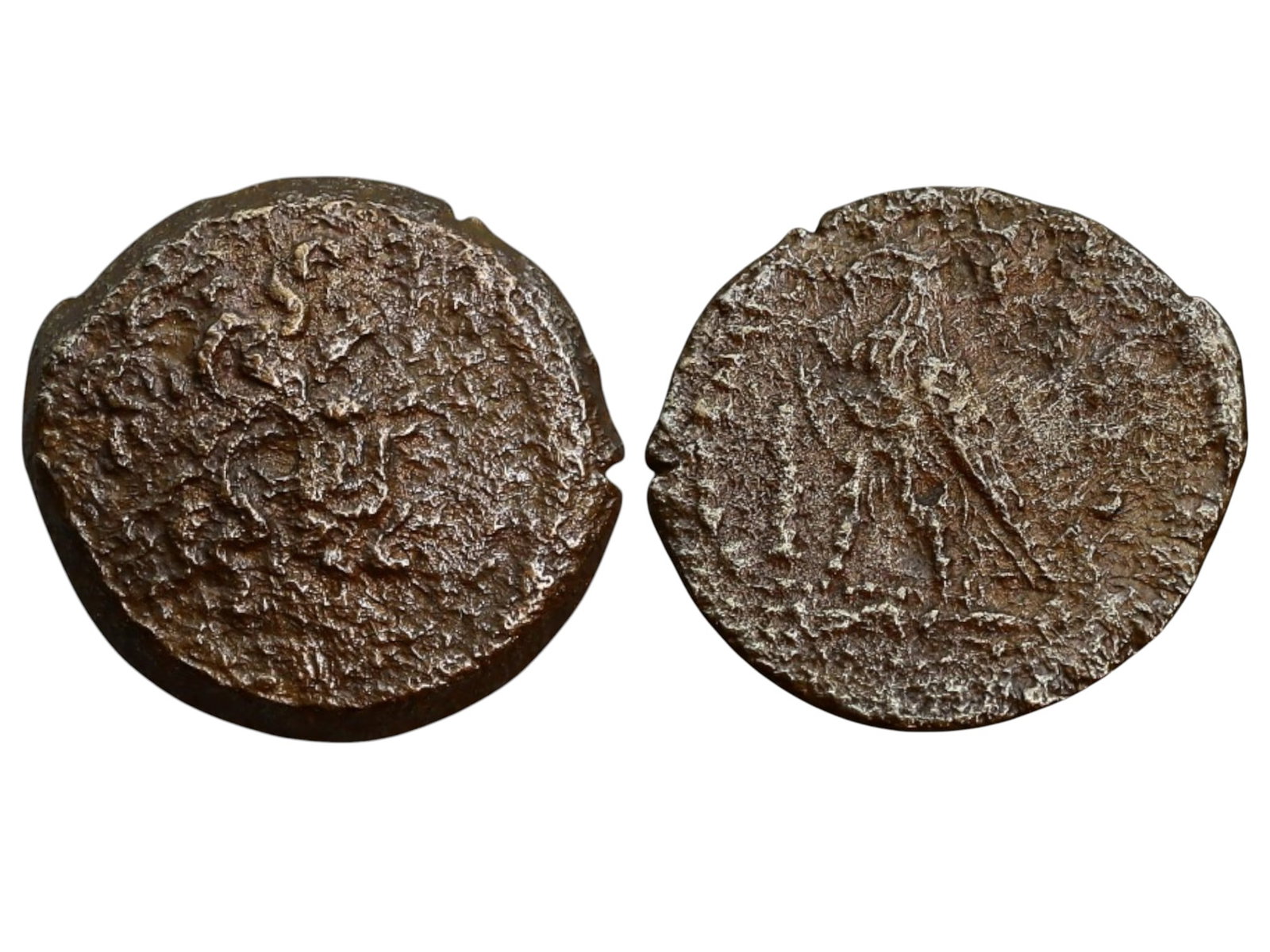 EGYPT, PTOLEMAIC KINGDOM: Ptolemy IX Soter II (116-106 BC, 88-80 BC), Cyprus Mint (15mm, 3.4g): This bronze coin from the reign of Ptolemy IX Soter II was struck at the Cyprus mint, a key territory of the Ptolemaic Kingdom. The obverse features the head of Zeus facing right, a common representat