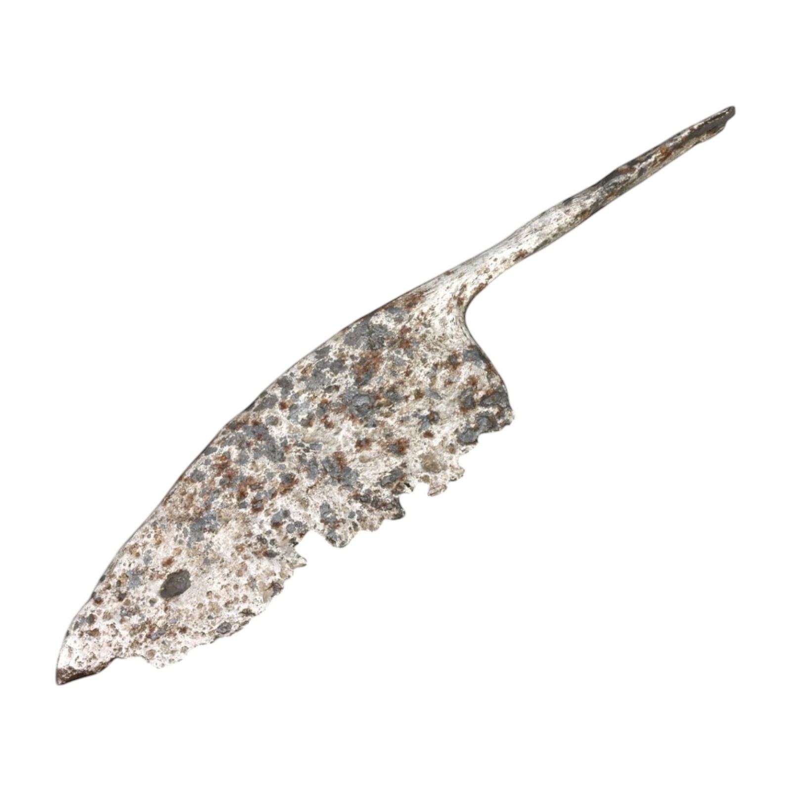 ANTIQUE IRON BLADE: Forged Utility Tool or Weapon Fragment (52g, 16cm): This antique iron blade fragment showcases the rugged craftsmanship characteristic of early forged tools or weapons. The blade's jagged edge and corroded surface suggest extensive use and exposure to