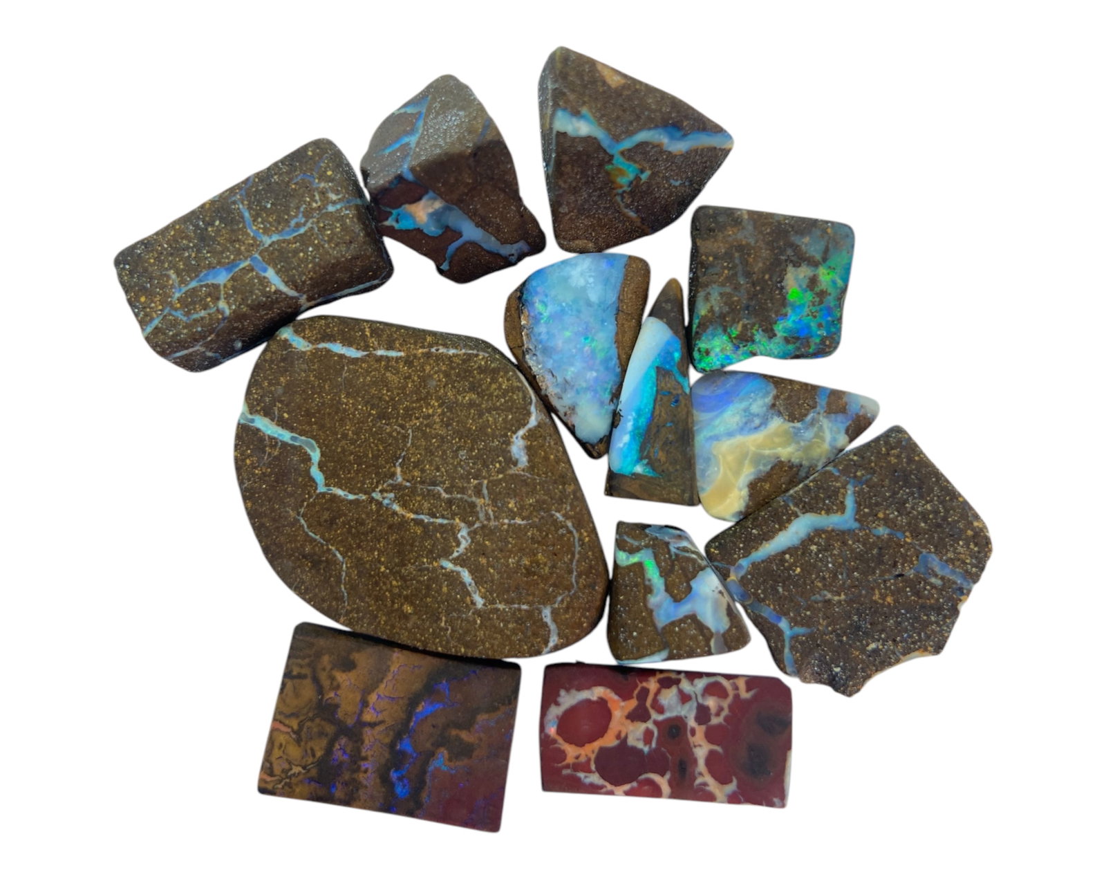 AUSTRALIAN MATRIX BOULDER OPAL - Preform Rough Lot, 12 Pieces, 29.7, 13-33.8mm (Images Taken Wet): A dazzling lot of preform Australian matrix boulder opals, with individual sizes. These opals have been rubbed and pre-shaped, highlighting their vibrant natural colors and intricate ironstone matrix 