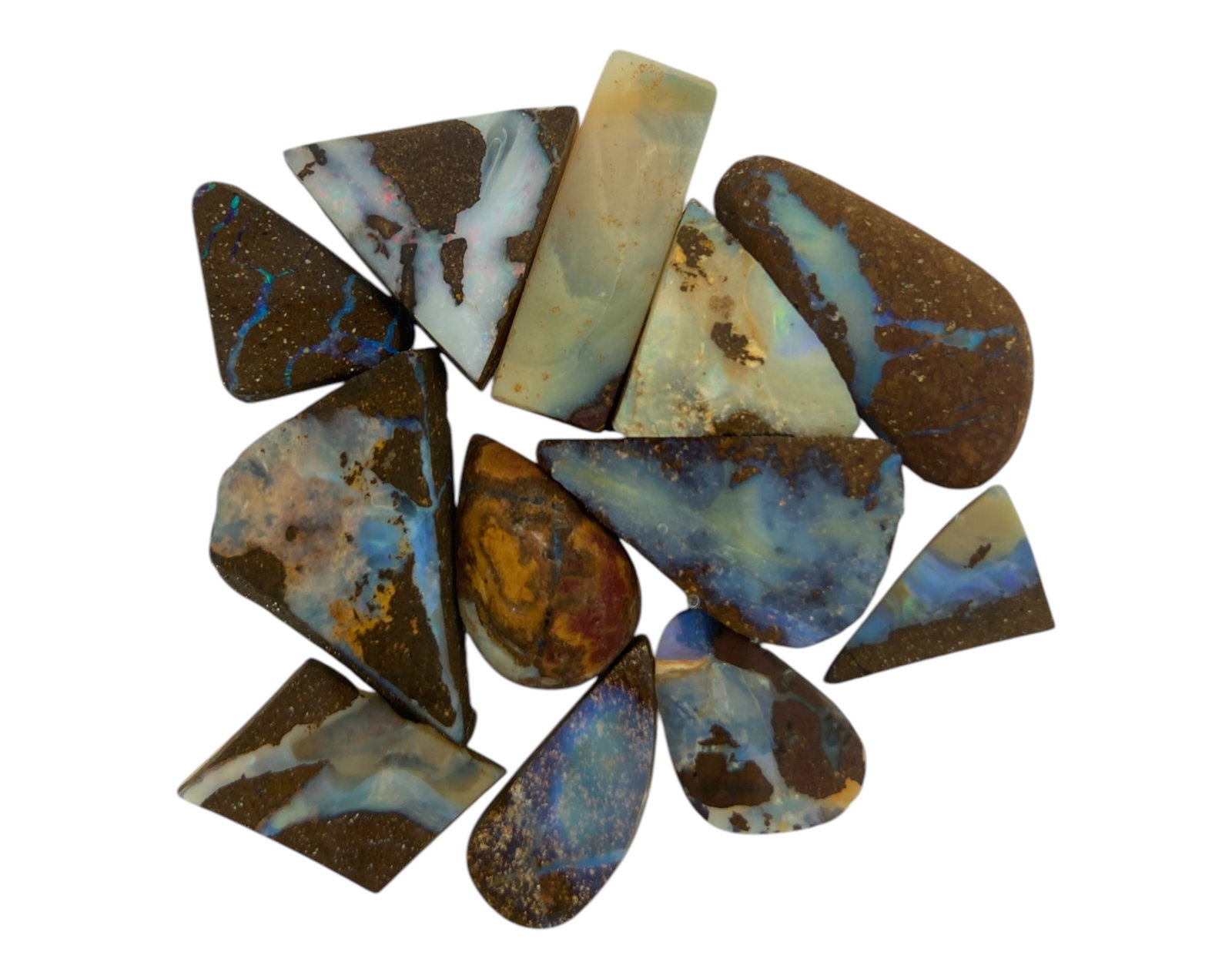 AUSTRALIAN MATRIX BOULDER OPAL - Preform Rough Lot, 12 Pieces, 16g, 13.2-22.9mm (Images Taken Wet): A dazzling lot of preform Australian matrix boulder opals, with individual sizes. These opals have been rubbed and pre-shaped, highlighting their vibrant natural colors and intricate ironstone matrix 
