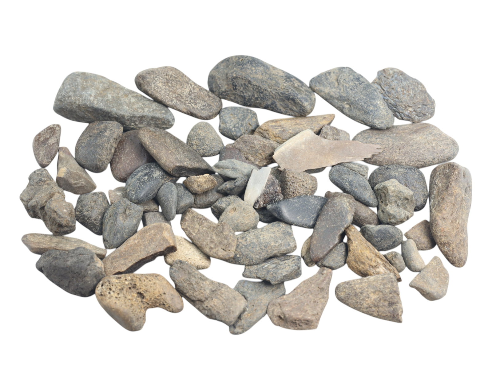 MEGALODON: Fossilized Shark Teeth Fragments - 246g, 1-4cm: A remarkable collection fossilized Megalodon teeth fragments, collectively weighing 246 grams, with individual pieces ranging from 1cm to 4cm. These prehistoric relics, preserved in varying shades of 