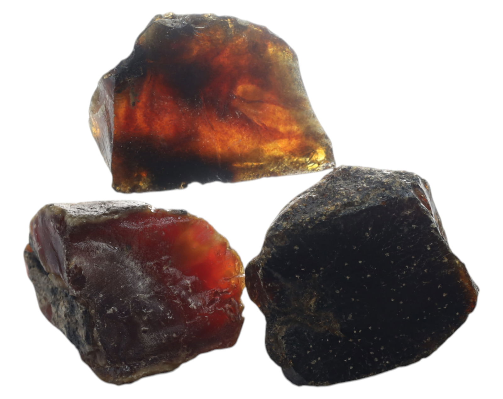 NATURAL: Baltic Amber Specimen Trio - 58g, 3.5-4.5cm, Fossilized Tree Resin (1 of 1)