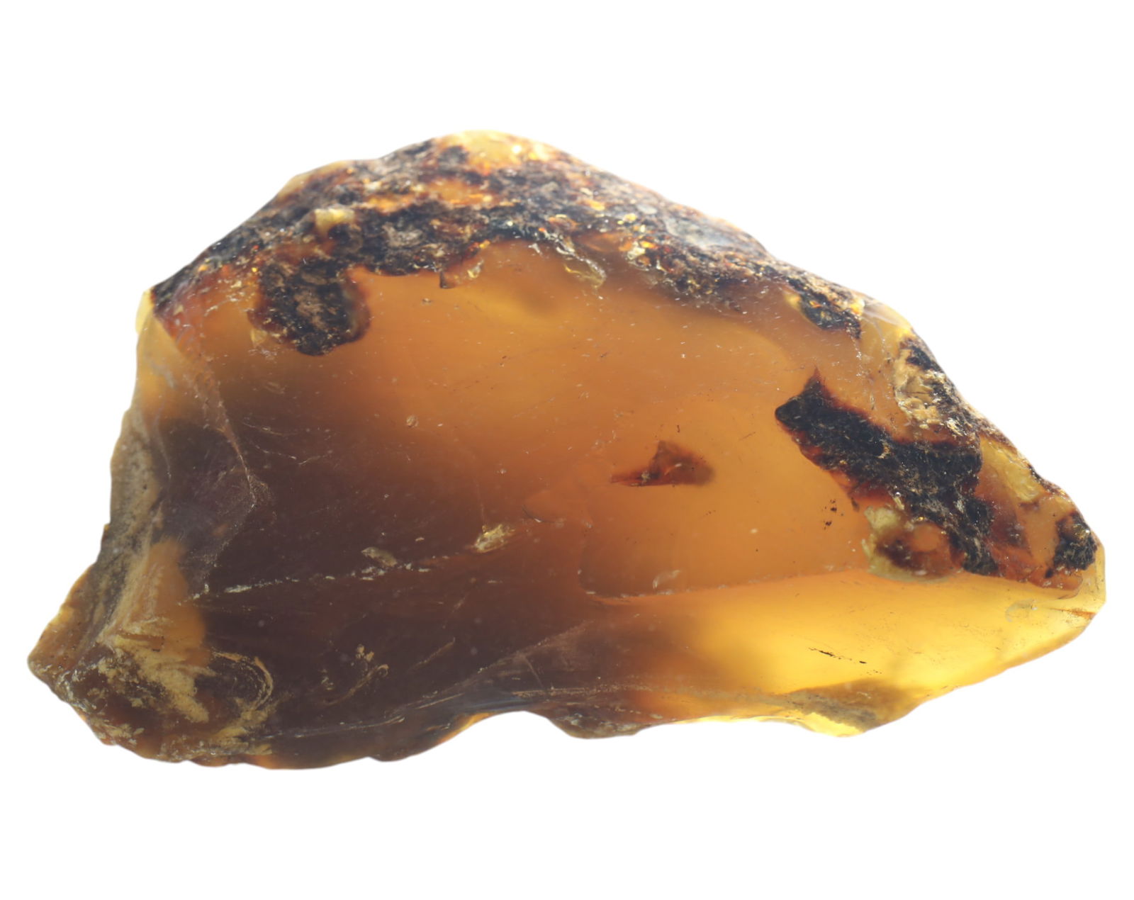 NATURAL: Baltic Amber Specimen Rough - 93g, 6.5-9.5cm, Fossilized Tree Resin (1 of 1)