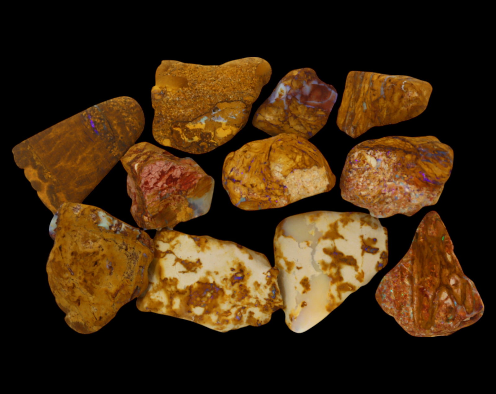 AUSTRALIA: Queensland Fossilized Crystal Opal Rough Lot, 1-3.2cm, 65g (Images Taken Wet): A striking lot of natural fossilized crystal opal rough, sourced from Queensland, Australia. These specimens display an impressive blend of earthy ironstone matrix and vibrant flashes of opalescence, 