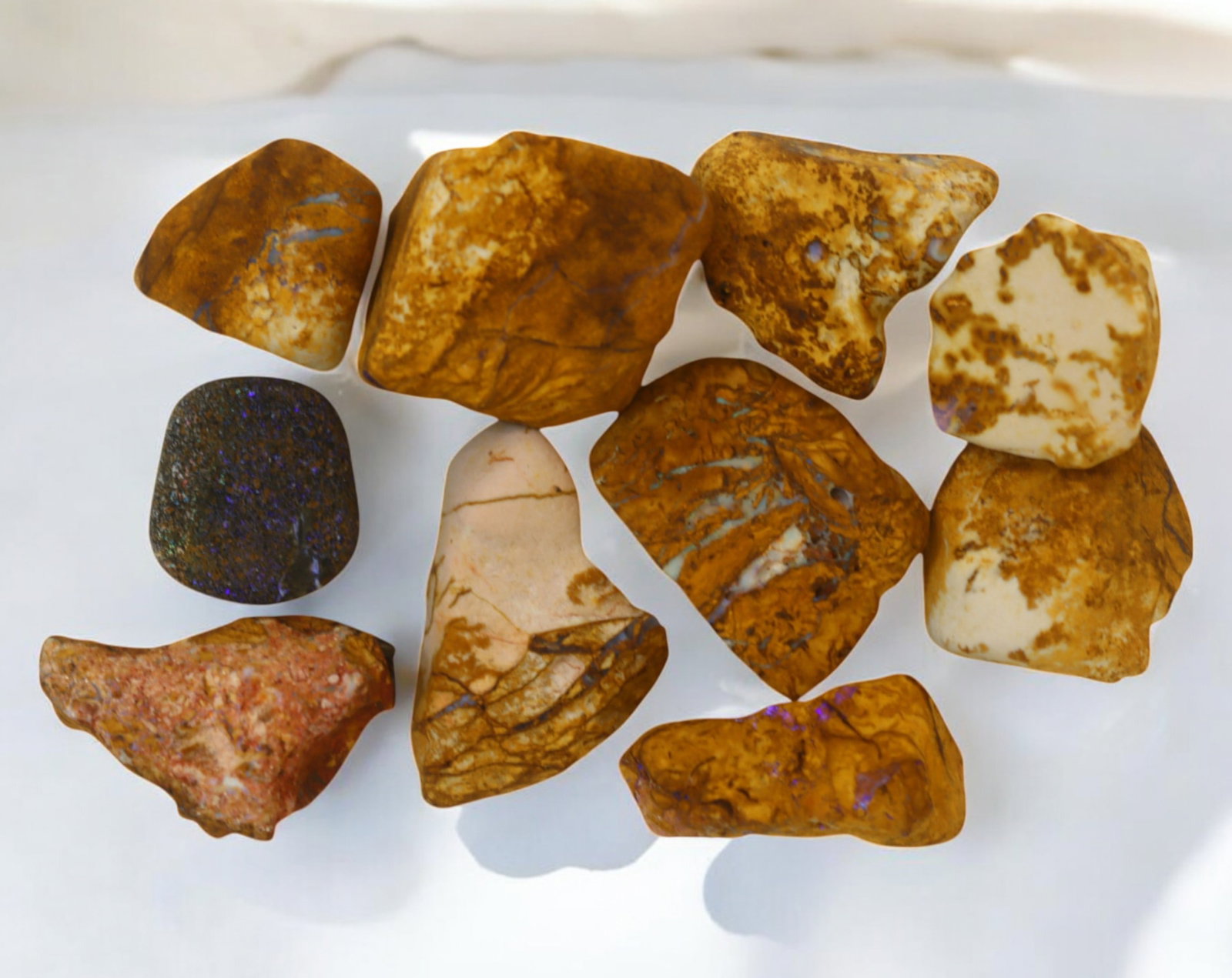 AUSTRALIA: Queensland Fossilized Crystal Opal Rough Lot, 1-3.2cm, 76g (Images Taken Wet): A striking lot of natural fossilized crystal opal rough, sourced from Queensland, Australia. These specimens display an impressive blend of earthy ironstone matrix and vibrant flashes of opalescence, 