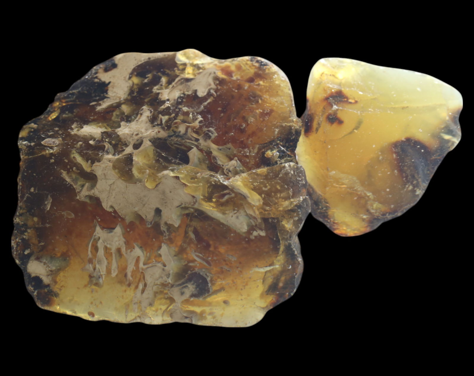 NATURAL: Baltic Amber Specimen Rough - 102g, 5-7cm, Fossilized Tree Resin (1 of 1)