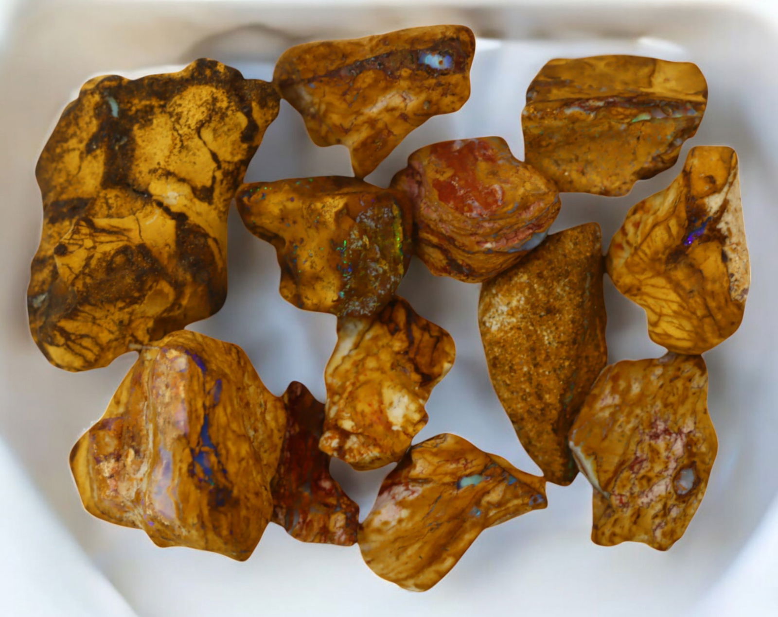 AUSTRALIA: Queensland Fossilized Crystal Opal Rough Lot, 1-3.5cm, 45g (Images Taken Wet) (1 of 1)