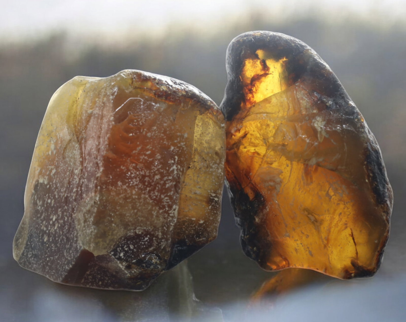 NATURAL: Baltic Amber Specimen Trio - 66g, 5-6.5cm, Fossilized Tree Resin: A stunning trio of raw Baltic amber specimens, these unpolished pieces display rich golden hues with deep brown inclusions, characteristic of high-quality fossilized tree resin. The translucency and n