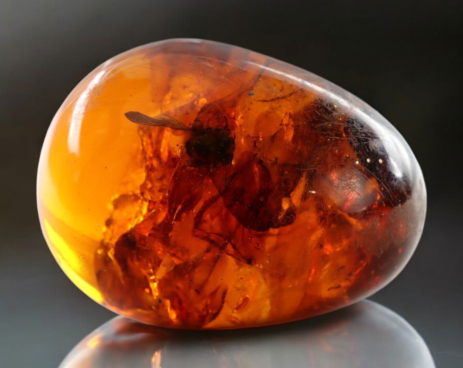 BALTIC AMBER: Polished Egg-Shaped Specimen Bead with Enclosed Bee - 38.7g: A remarkable egg-shaped polished Baltic amber specimen, measuring 4.7 x 3.4 cm and weighing 38.7g, featuring an exceptionally well-preserved bee inclusion. The translucent golden-orange hue of the amb