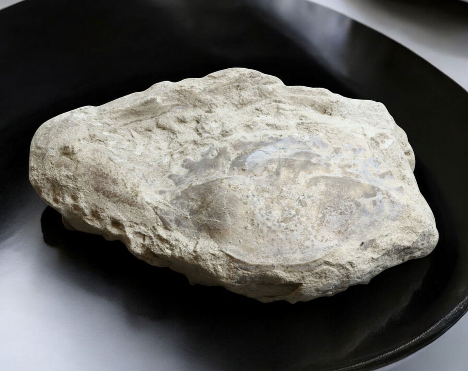 FOSSIL: Cretaceous Fossilized Crab - Exceptional Specimen, 11x16.5cm, 600g: A remarkable fossilized crab from the Cretaceous period, exhibiting well-preserved morphological features, including distinct claws, a rounded carapace, and detailed exoskeletal texture. This specimen