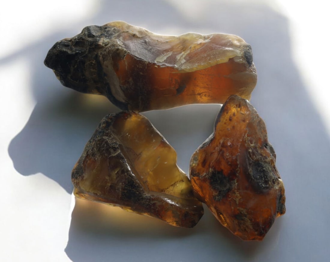 NATURAL: Baltic Amber Specimen Trio - 68g, 5-8cm, Fossilized Tree Resin: A stunning trio of raw Baltic amber specimens, these unpolished pieces display rich golden hues with deep brown inclusions, characteristic of high-quality fossilized tree resin. The translucency and n