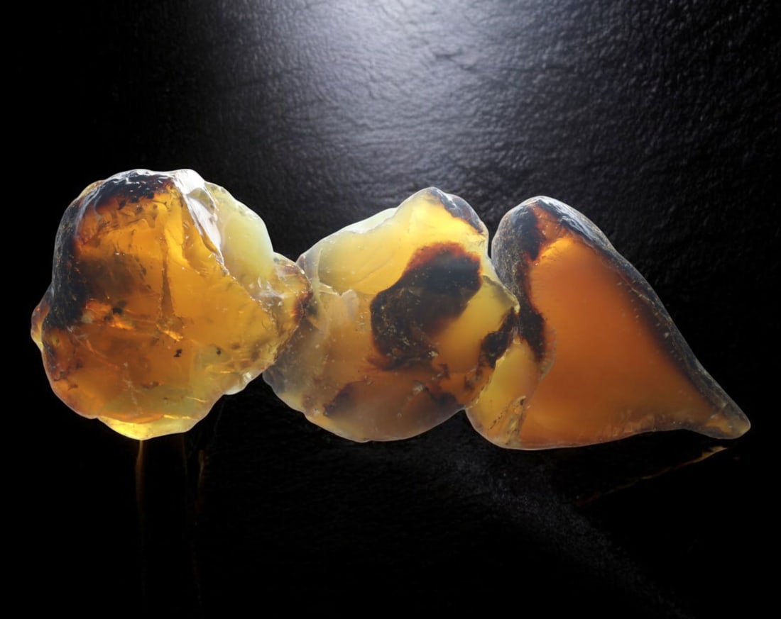 NATURAL: Baltic Amber Specimen Trio - 90g, 6.5-5cm, Fossilized Tree Resin: A stunning trio of raw Baltic amber specimens, these unpolished pieces display rich golden hues with deep brown inclusions, characteristic of high-quality fossilized tree resin. The translucency and n