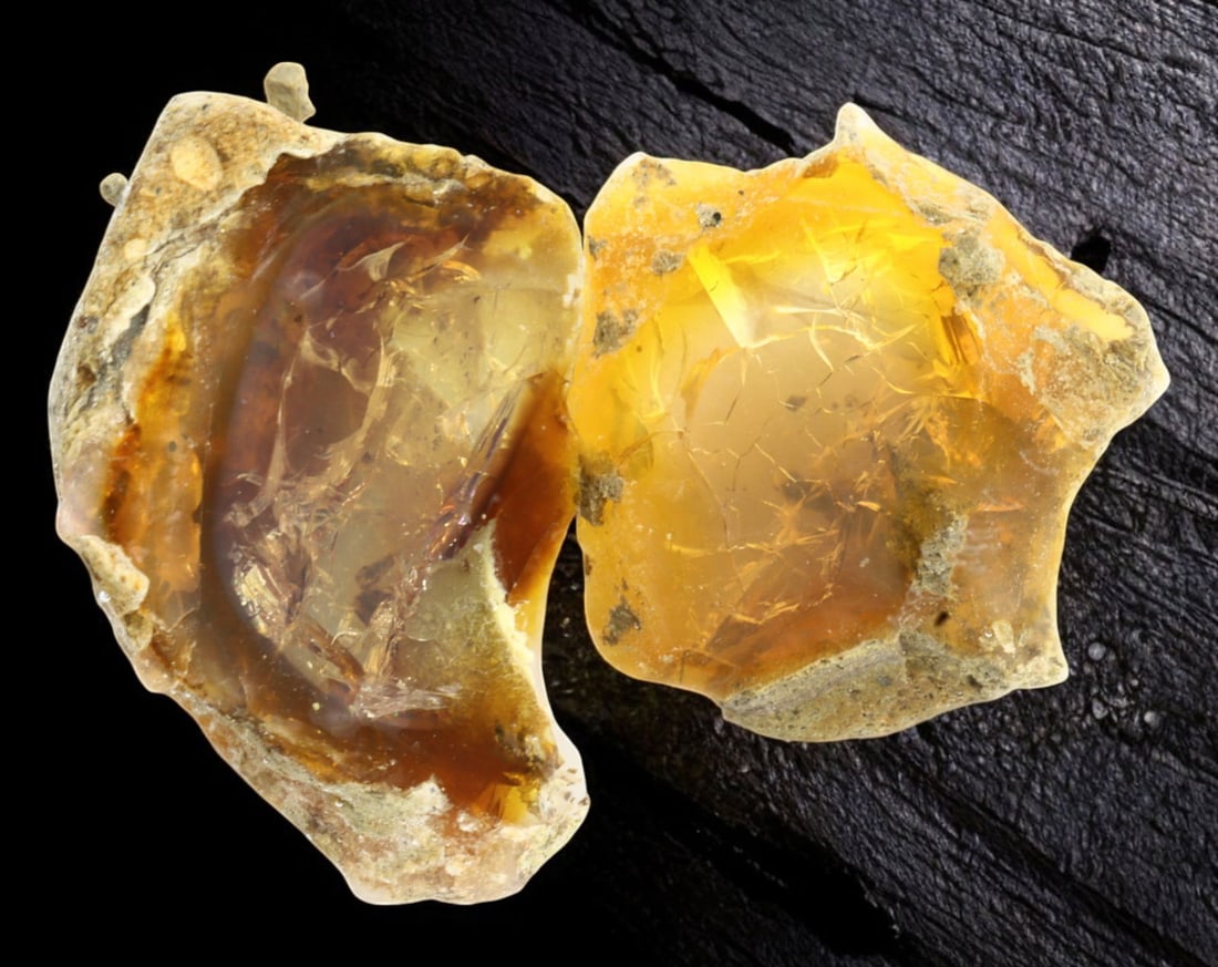 ETHIOPIA: Delanta Mine Non-Hydrophane Opal Rough - 2-Piece Specimen, 35g, 3-3.7cm (1 of 1)