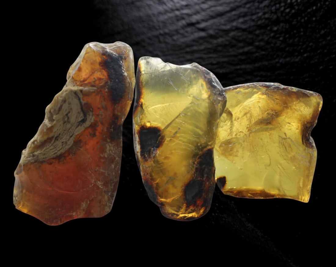 NATURAL: Baltic Amber Specimen Trio - 62g, 4-6.5cm, Fossilized Tree Resin: A stunning trio of raw Baltic amber specimens, these unpolished pieces display rich golden hues with deep brown inclusions, characteristic of high-quality fossilized tree resin. The translucency and n