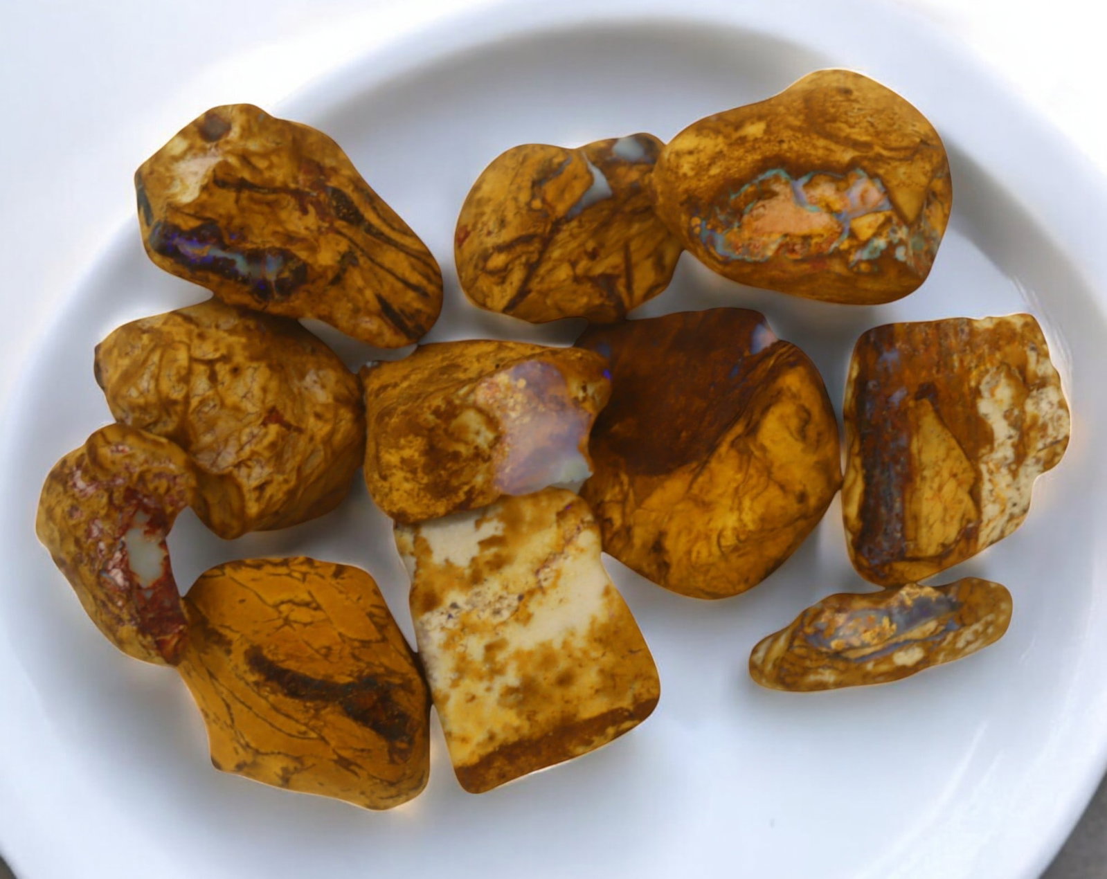 AUSTRALIA: Queensland Fossilized Crystal Opal Rough Lot, 1-2.5cm, 59g (Images Taken Wet): A striking lot of natural fossilized crystal opal rough, sourced from Queensland, Australia. These specimens display an impressive blend of earthy ironstone matrix and vibrant flashes of opalescence, 