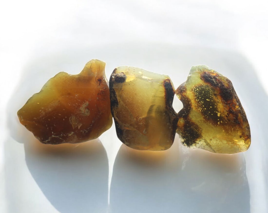 NATURAL: Baltic Amber Specimen Trio - 67g, 5.5-6cm, Fossilized Tree Resin: A stunning trio of raw Baltic amber specimens, these unpolished pieces display rich golden hues with deep brown inclusions, characteristic of high-quality fossilized tree resin. The translucency and n