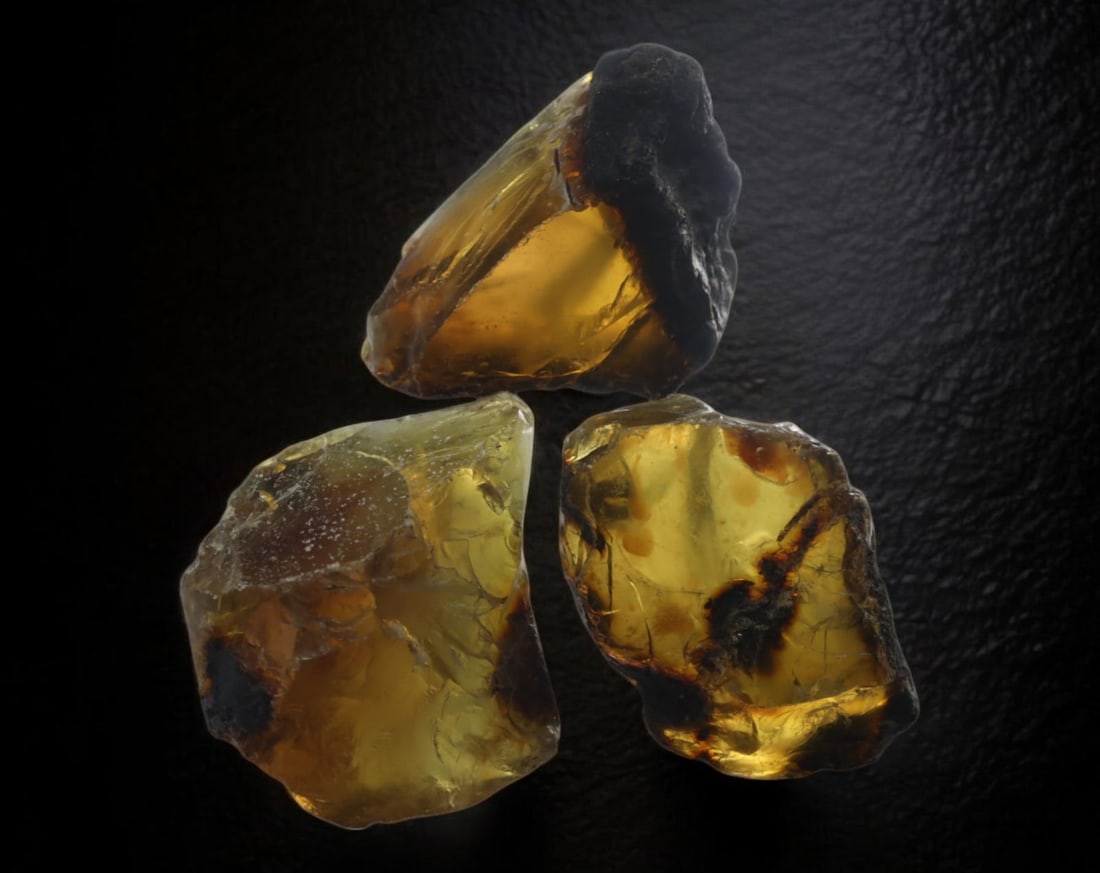 NATURAL: Baltic Amber Specimen Trio - 55g, 4.5-5cm, Fossilized Tree Resin: A stunning trio of raw Baltic amber specimens, these unpolished pieces display rich golden hues with deep brown inclusions, characteristic of high-quality fossilized tree resin. The translucency and n