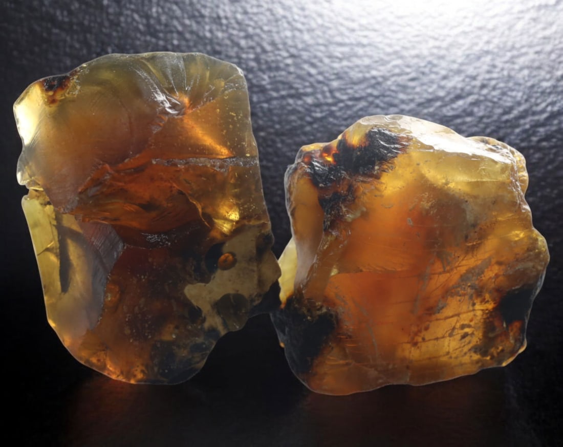 NATURAL: Baltic Amber Specimen Rough - 54g, 4-5.5cm, Fossilized Tree Resin: A stunning set of raw Baltic amber specimens, these unpolished pieces display rich golden hues with deep brown inclusions, characteristic of high-quality fossilized tree resin. The translucency and na