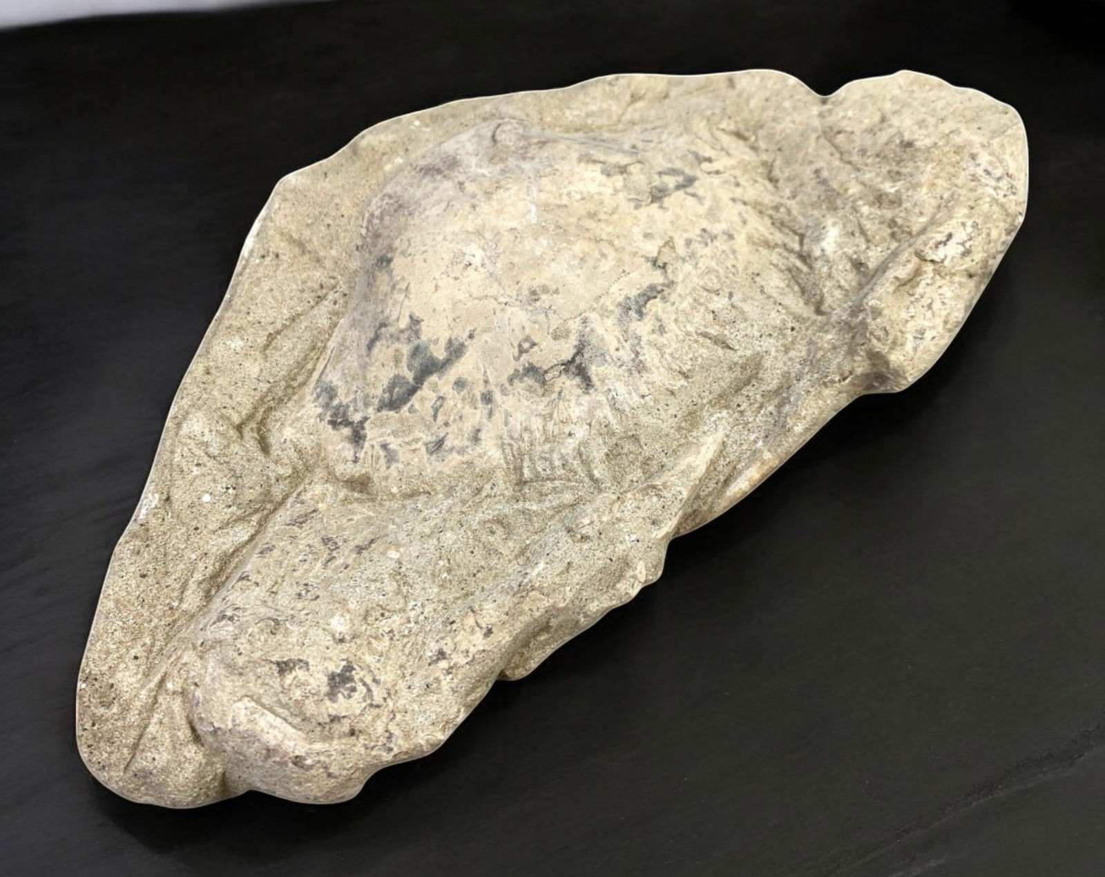 FOSSIL: Cretaceous Fossilized Crab - Exceptional Specimen, 10x18cm, 529g: A remarkable fossilized crab from the Cretaceous period, exhibiting well-preserved morphological features, including distinct claws, a rounded carapace, and detailed exoskeletal texture. This specimen