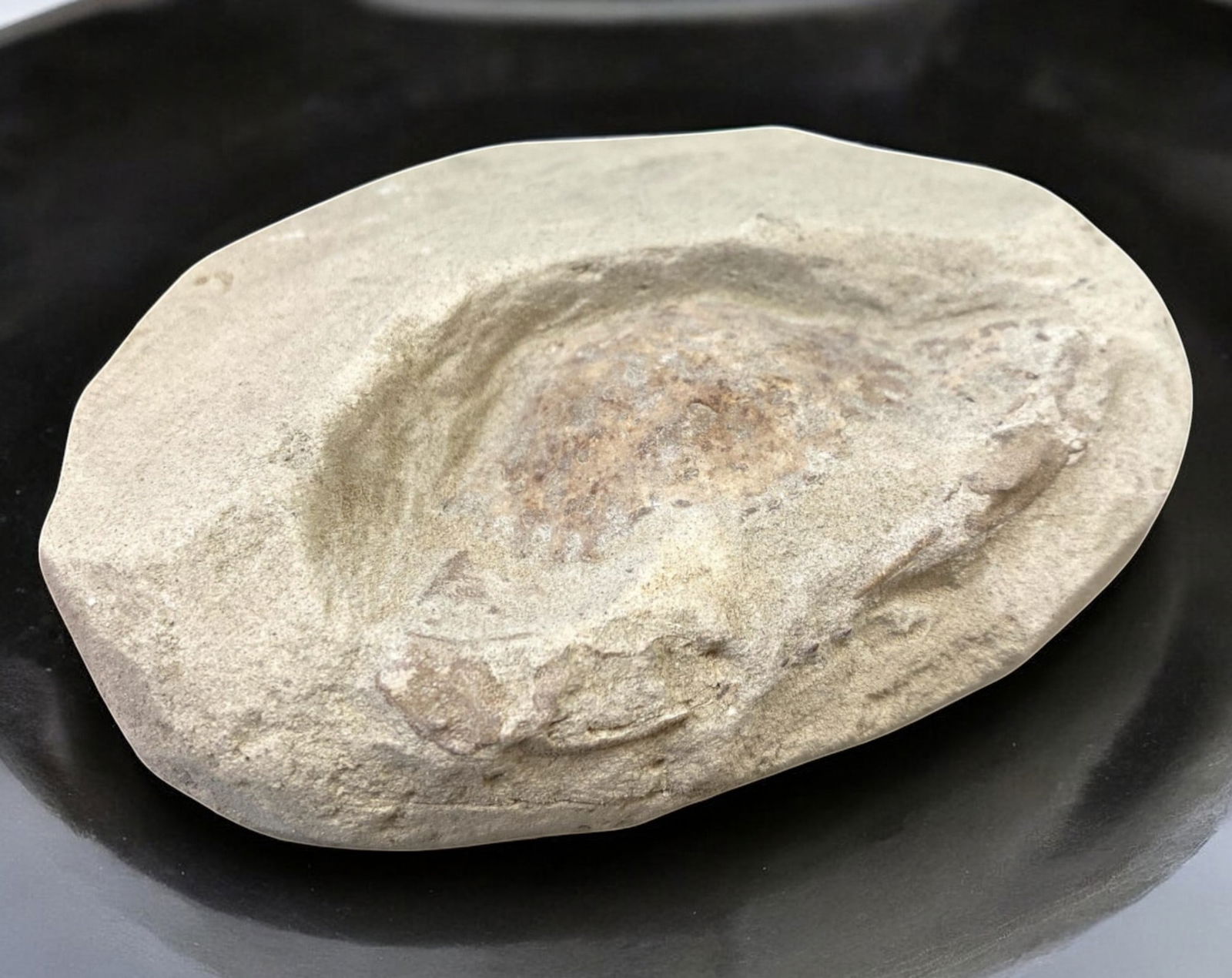 FOSSIL: Cretaceous Fossilized Crab, 7.9x11.9cm, 297g: A remarkable fossilized crab from the Cretaceous period, exhibiting well-preserved morphological features, including distinct claws, a rounded carapace, and detailed exoskeletal texture. This specimen
