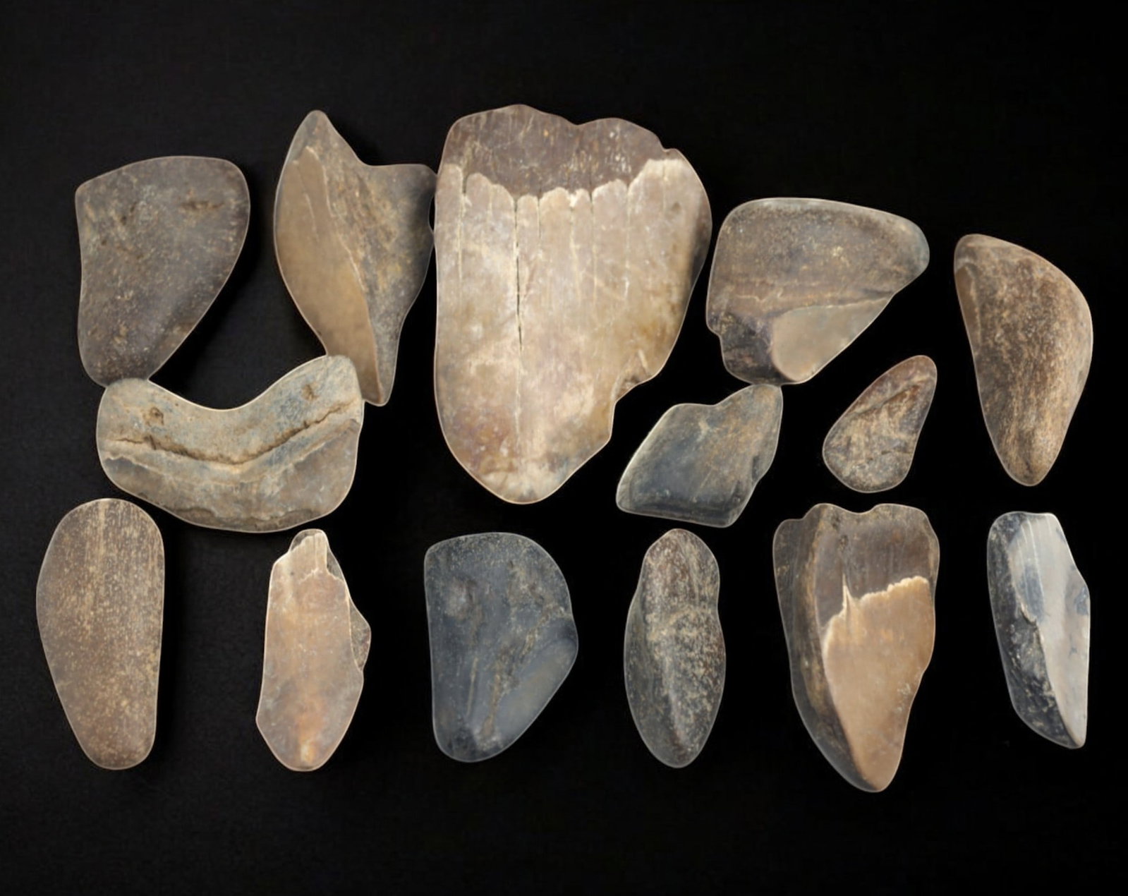 MEGALODON: Fossilized Shark Teeth Fragments - 162g, 2-6cm: A remarkable collection of 14 fossilized Megalodon teeth fragments, collectively weighing 162 grams, with individual pieces ranging from 2cm to 6cm. These prehistoric relics, preserved in varying shad