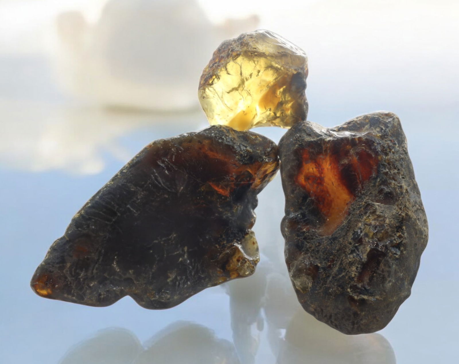 NATURAL: Baltic Amber Specimen Trio - 59g, 3-7cm, Fossilized Tree Resin (1 of 1)