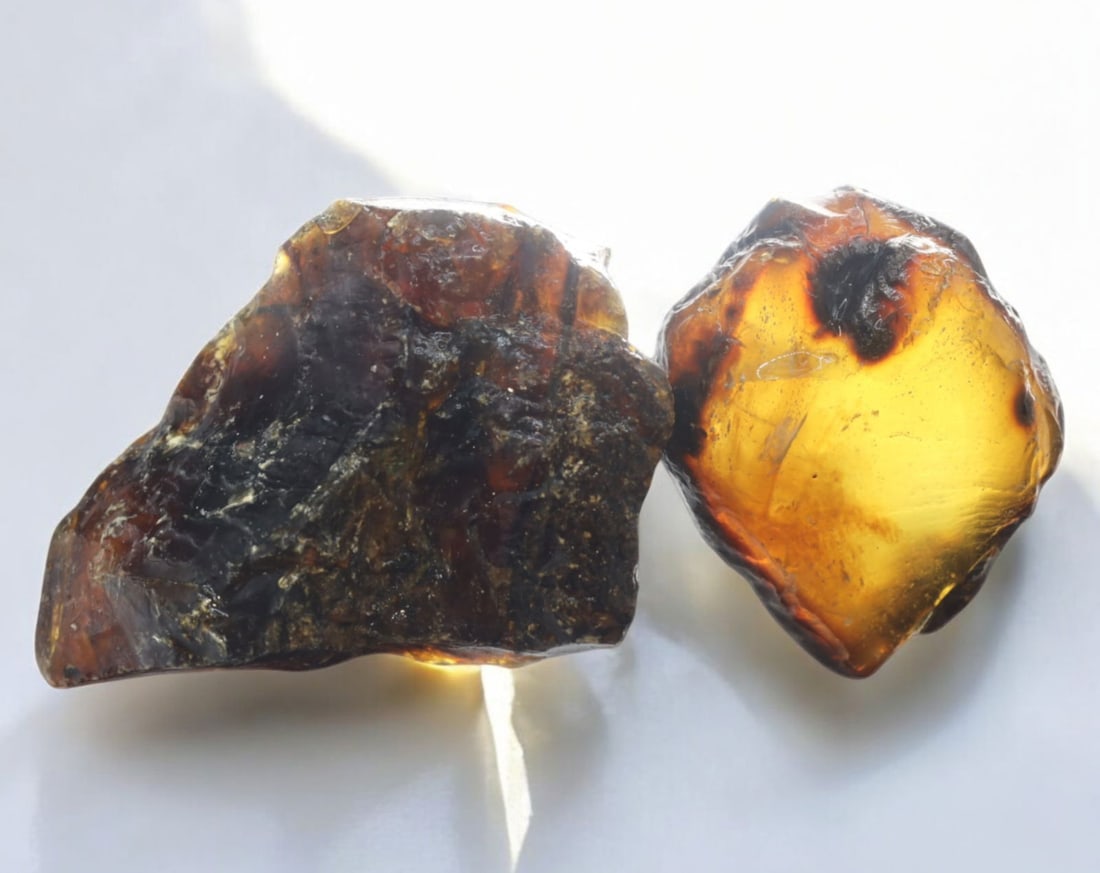 NATURAL: Baltic Amber Specimen Rough - 66g, 4-7.5cm, Fossilized Tree Resin (1 of 1)