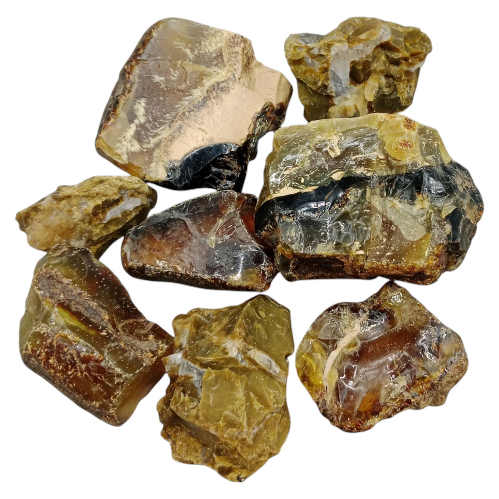 BALTIC AMBER: Rough Nodules - Natural Resin Chunks, 8 Pieces, 4-7cm (293g) (1 of 1)