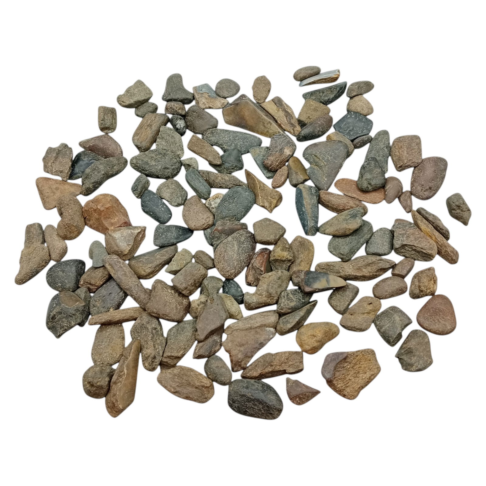 PREHISTORIC MARINE: Megalodon Teeth - Fossil Specimens from Pacific Seabed, 1-5cm (510g): A captivating set of partial Megalodon tooth specimens. Unearthed from Pacific coastal deposits, these fossilized fragments show classic triangular morphology, weathered enamel surfaces, and varying s