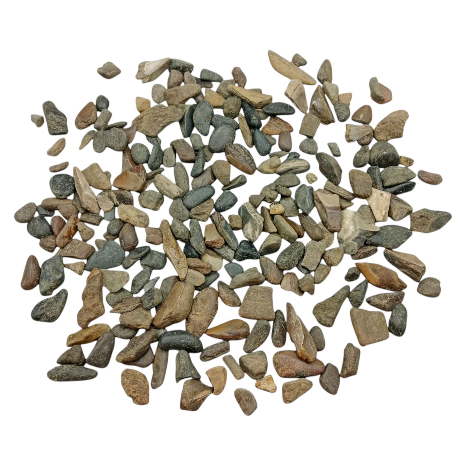 PREHISTORIC MARINE: Megalodon Teeth - Fossil Specimens from Pacific Seabed, 1-4cm (534g): A captivating set of partial Megalodon tooth specimens. Unearthed from Pacific coastal deposits, these fossilized fragments show classic triangular morphology, weathered enamel surfaces, and varying s