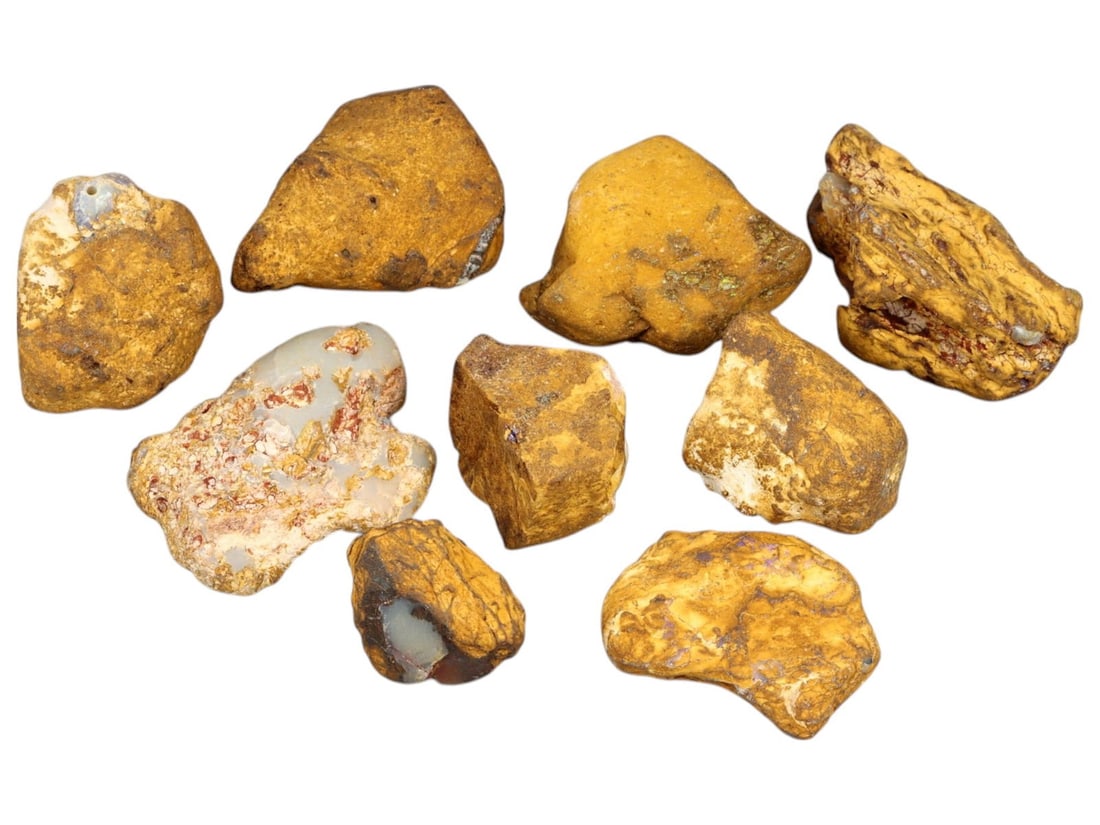 Australian Queensland Fossilized Boulder Opal Rough Lot - Ancient Matrix Fire in Ironstone Host (1 of 1)