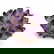 item-210720276=4