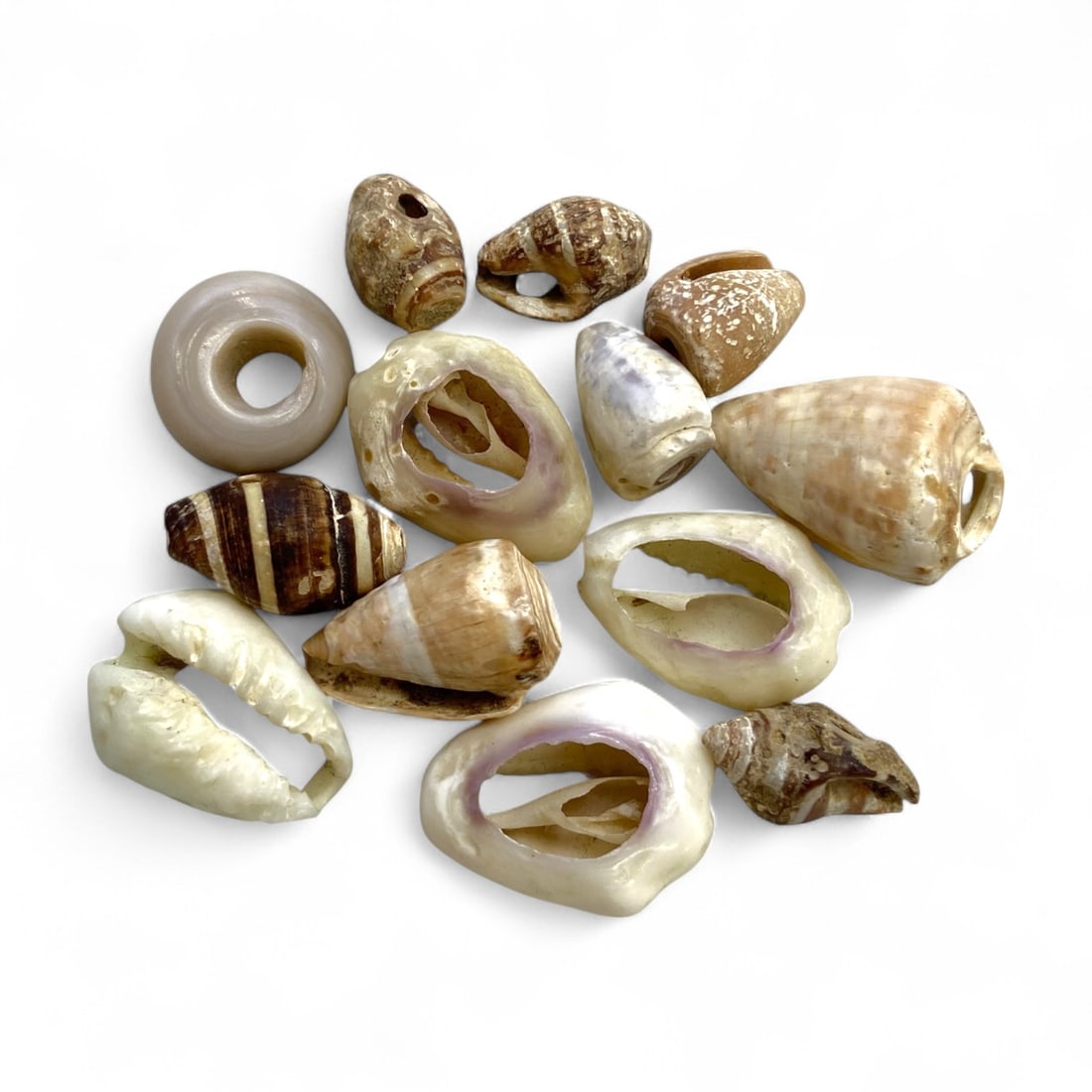 Ancient Medieval Crusader Pilgrim Shell and Amulet Collection, c. 11th-13th Century CE, 10g: This evocative set of 13 shell-based ornaments dates to the Crusader era, circa 11th-13th century CE, and reflects the devotional practices of Christian pilgrims journeying to the Holy Land. Weighing 