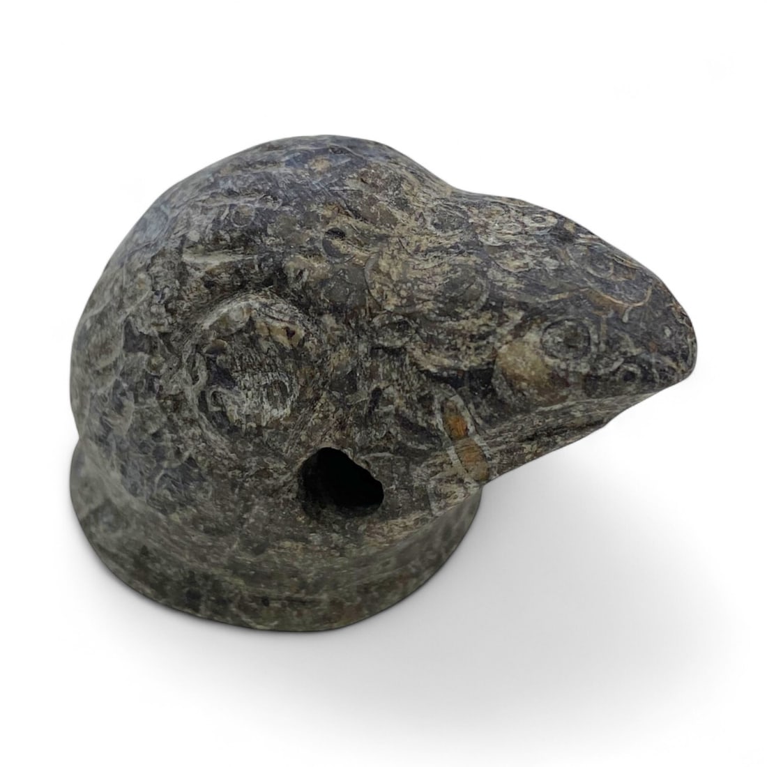 Ancient Near Eastern Bird Head Fossil Stone Trade Weight, c. 2nd-1st Millennium BCE, 37g (1 of 4)