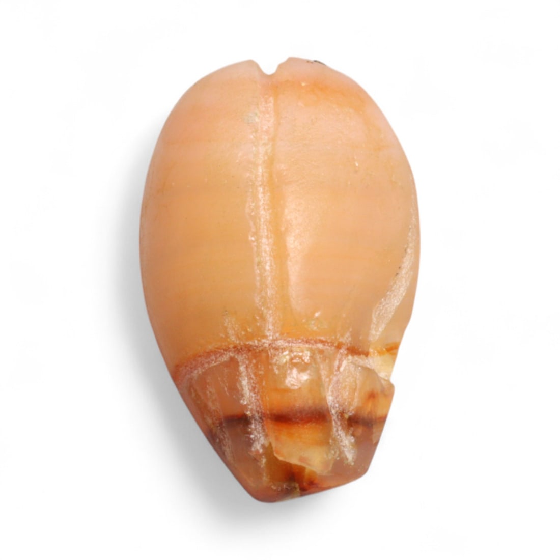 Ancient Coptic Egyptian Carnelian Scarab Amulet, c. 4th-7th Century CE, 1.8g: This petite and powerfully symbolic carnelian scarab amulet dates to the Coptic period of Egypt, circa 4th-7th century CE, when traditional Egyptian forms were adapted into early Christian devotional 