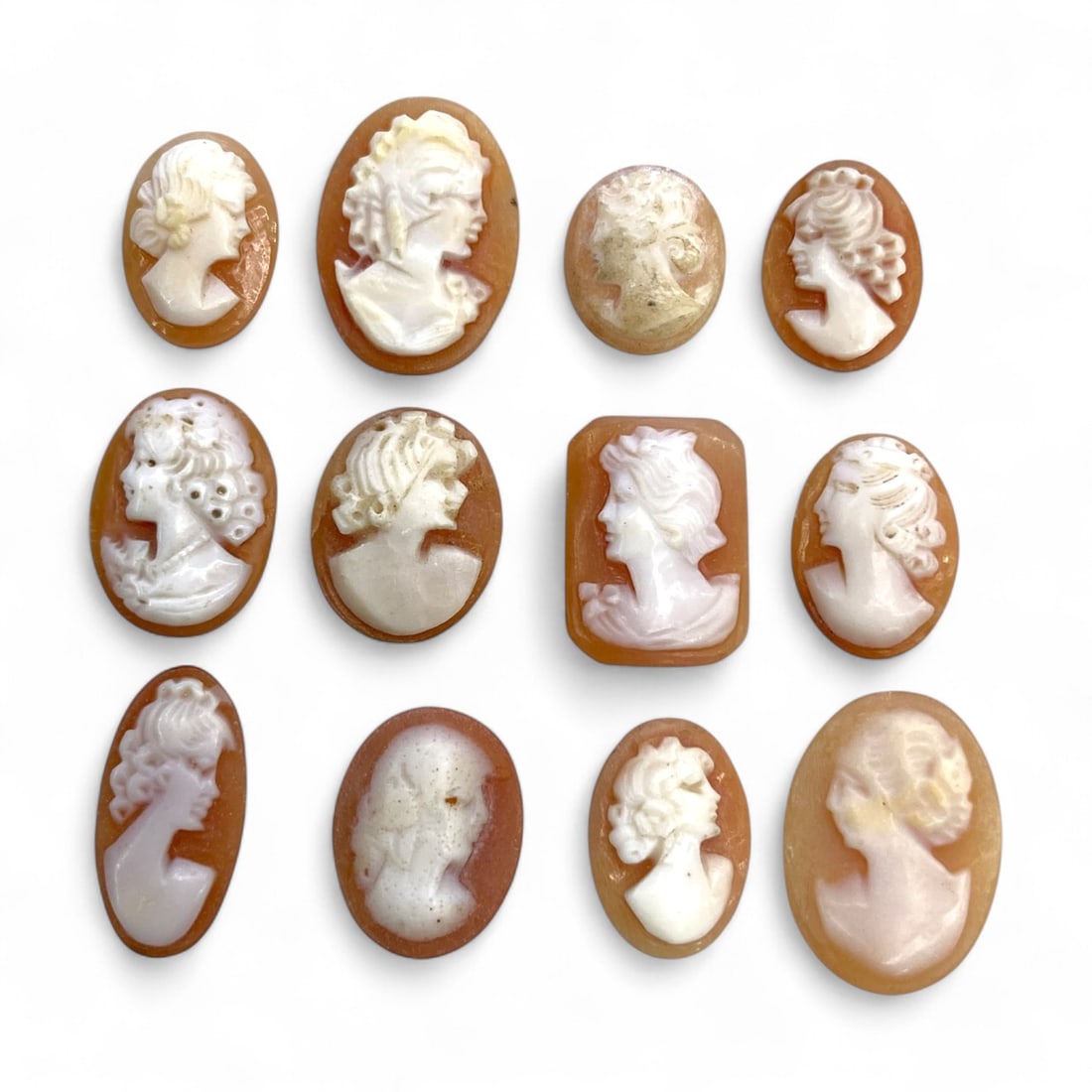 Antique Victorian Shell and Agate Cameo Group of Twelve, c. 19th Century CE, 1-1.8cm, 9g (1 of 1)