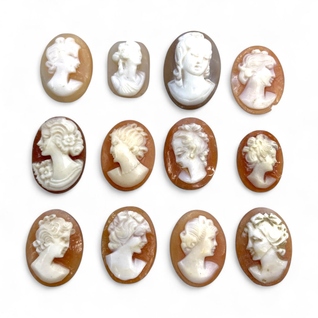 Antique Victorian Shell and Agate Cameo Group of Twelve, c. 19th Century CE, 12g (1 of 1)