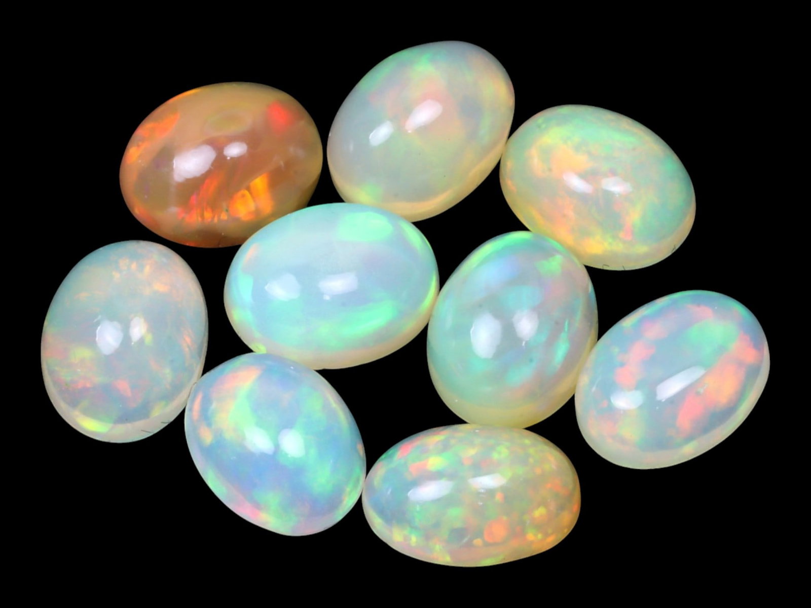 11.63 Carats Multi-Color Welo Opal Lot - Natural Ethiopian Stones: This radiant group of Welo opals displays a mesmerizing interplay of color that dances across the surface with every shift of light. Electric flashes of green, orange, and red ripple through a translu